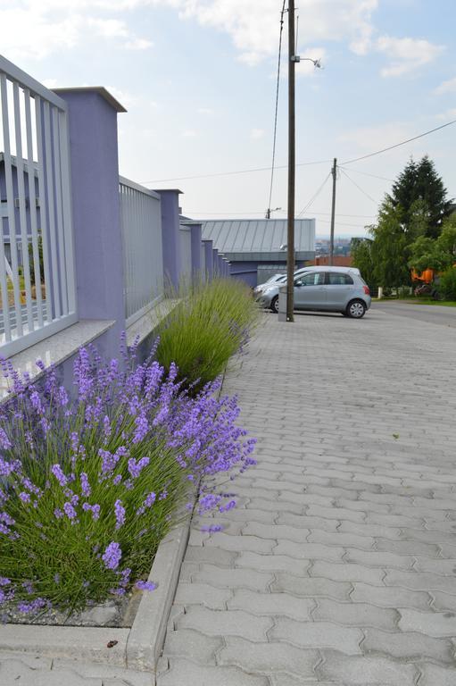 Pansion Antonio Bed & Breakfast Slavonski Brod Exterior photo